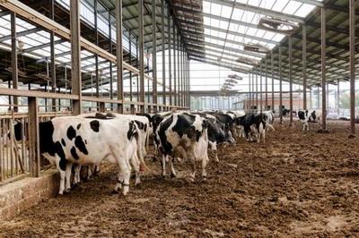 農(nóng)業(yè)四大支柱 種植業(yè)、畜牧業(yè)、林業(yè)與漁業(yè)的協(xié)同發(fā)展與飼料供給