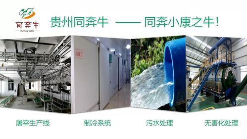 A級(jí)畜禽屠宰加工廠即將投產(chǎn)，優(yōu)質(zhì)產(chǎn)品將輻射全國(guó)市場(chǎng)